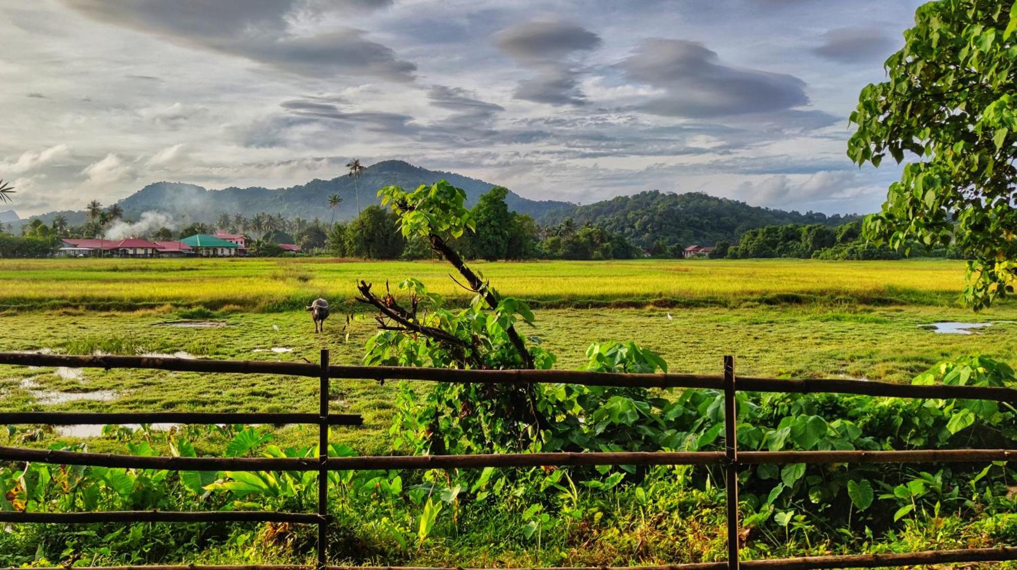 Kampung Tok Lembut Vacation Home Pantai Cenang  Exterior foto